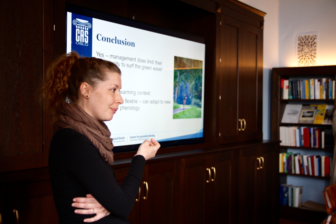 Postdoctoral Fellow Inger Maren Rivrud holds a lunch seminar at Senter for grunnforskning/ Centre for Advanced Study (CAS) spring 2016: Migration in large herbivores - do management limit their opportunity to surf the green wave? She is part of the 2015/2016 CAS Project Climate effects on harvested large mammal populations.