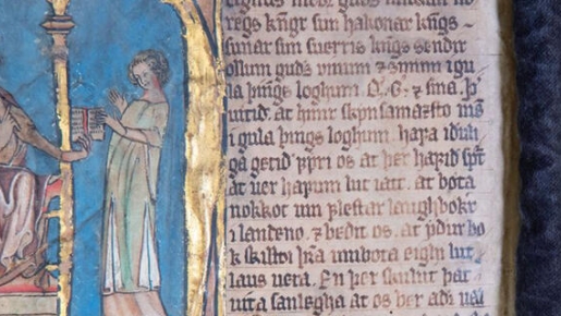 Codex Hardenbergianus Magnus Lagabøtes landslov. / Nasjonalbibilioteket