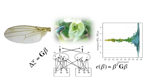 Evolvability